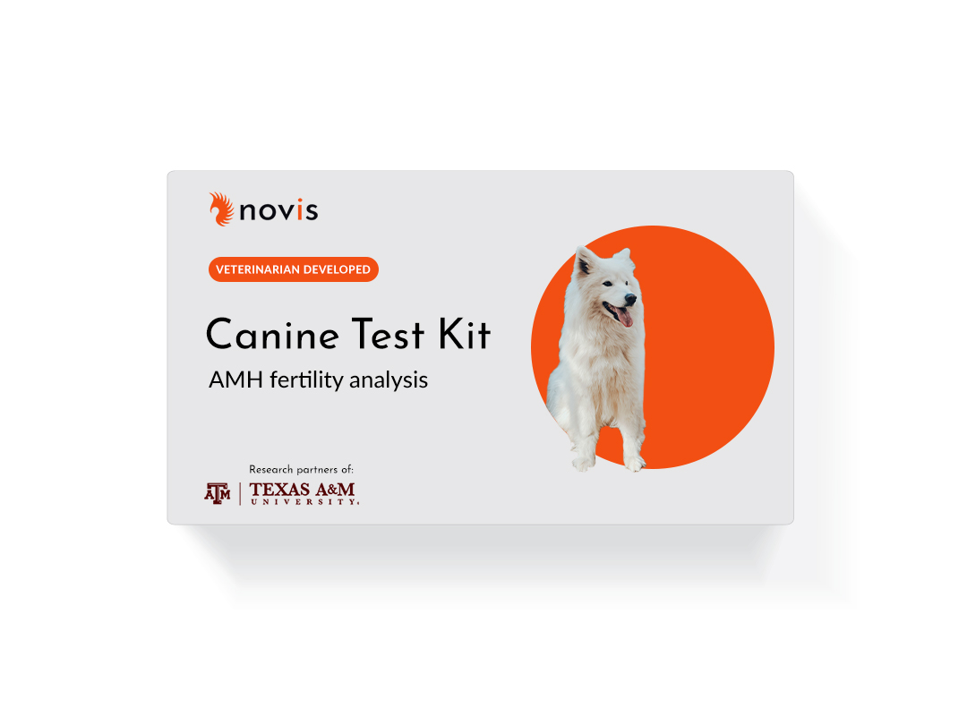 canine-amh-test-kit