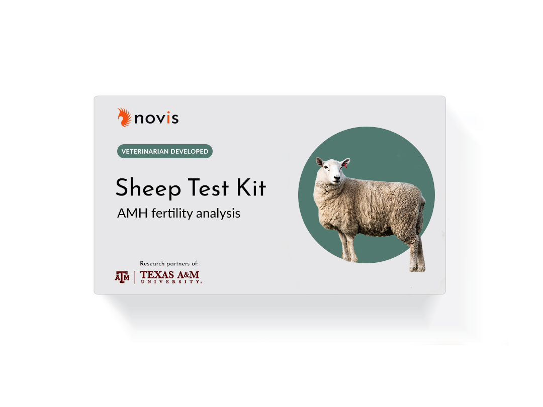 sheep amh test kit