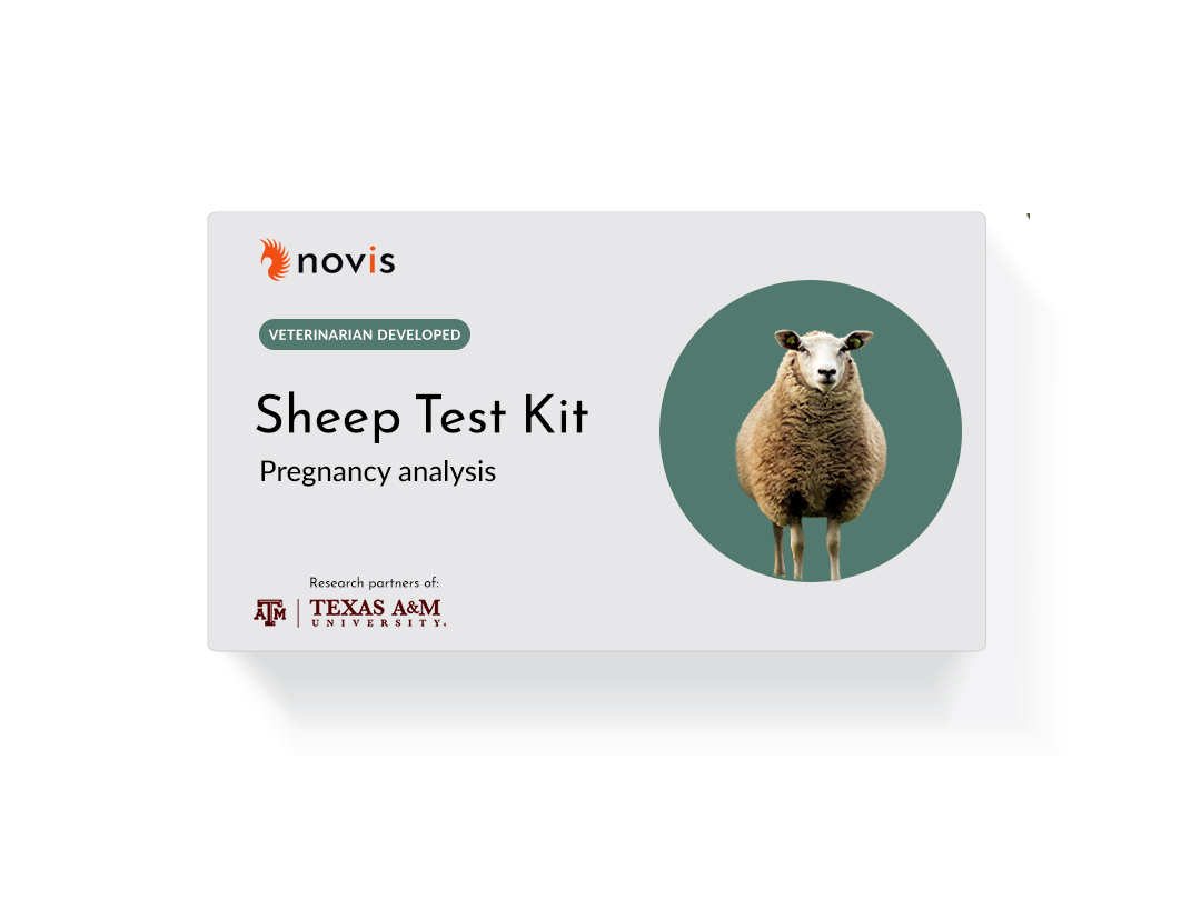 sheep pregnancy test kit